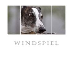 ~ Windspiel ~