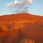 Windspiel an Düne 45, Sossusvlei