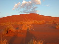 Windspiel an Düne 45, Sossusvlei