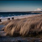 Wind.Stärke