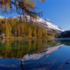 WINDSTILLE AM BERGSEE