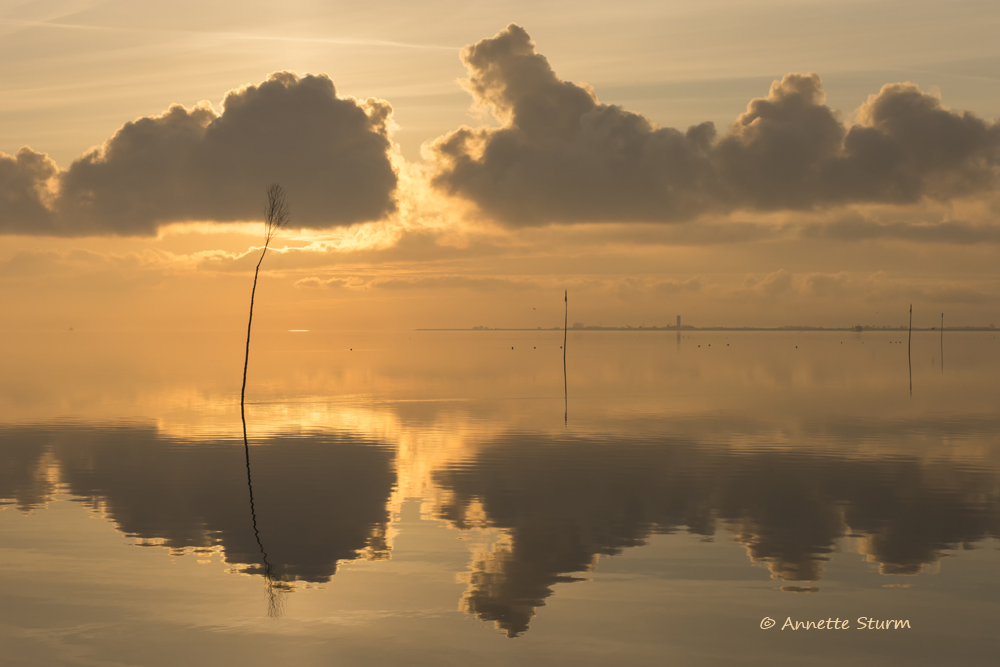 Windstille am Meer 2