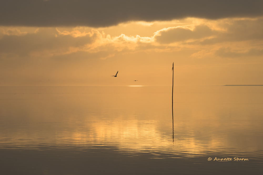 Windstille am Meer