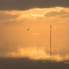 Windstille am Meer