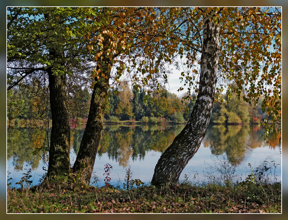 Windstille am See.