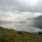 Windstille am Skálafjørður...