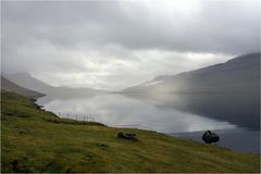 Windstille am Skálafjørður...