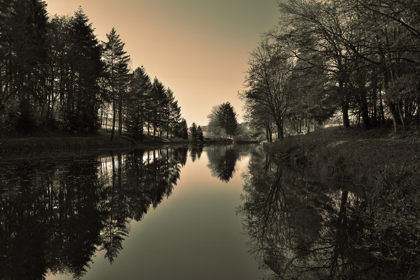 Windstille am Teich...