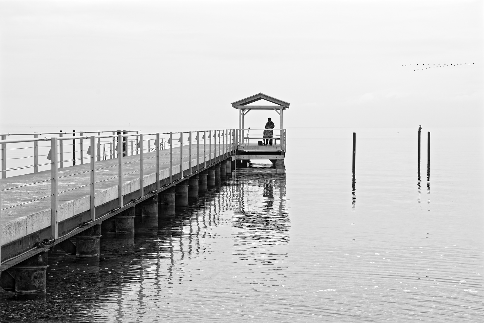 Windstille an der Geltinger Bucht 1