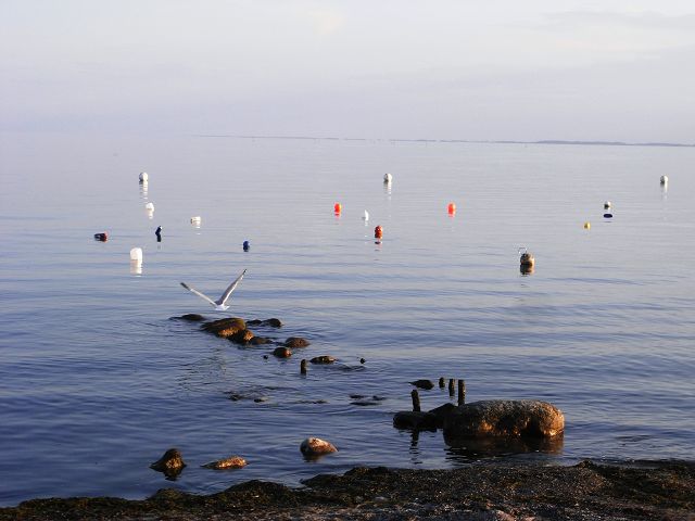 Windstille an der Ostsee