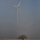 Windstille im Nebel