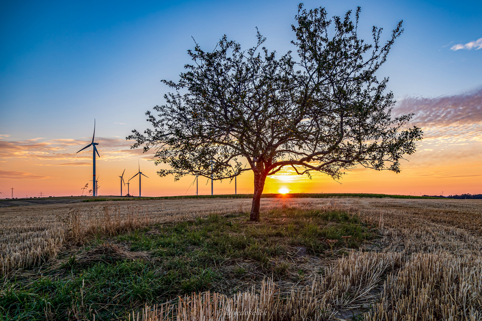 Windstille...nur die Sonne 