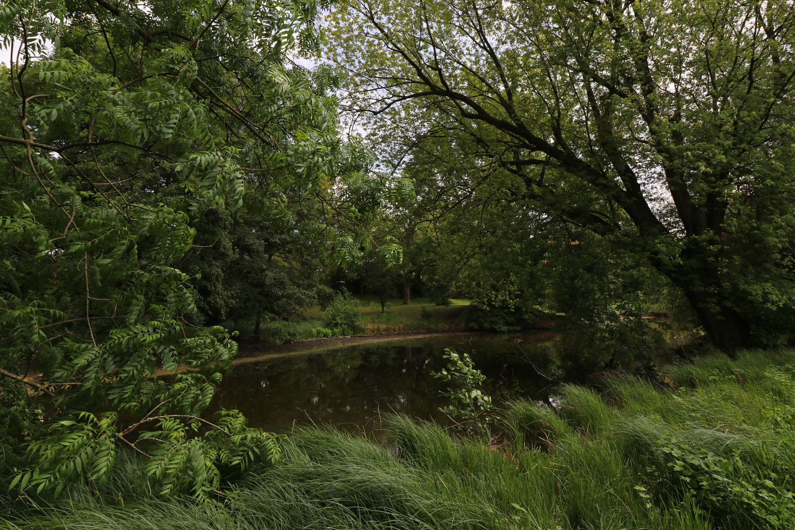 Windstoß am Ufer