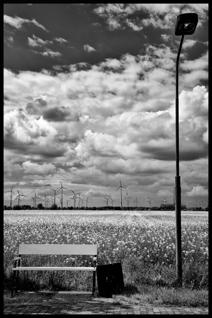 WINDSTROM FÜR EINE GLÜHBIRNE