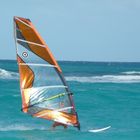 windsurf