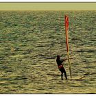 Windsurfen in der Ostsee