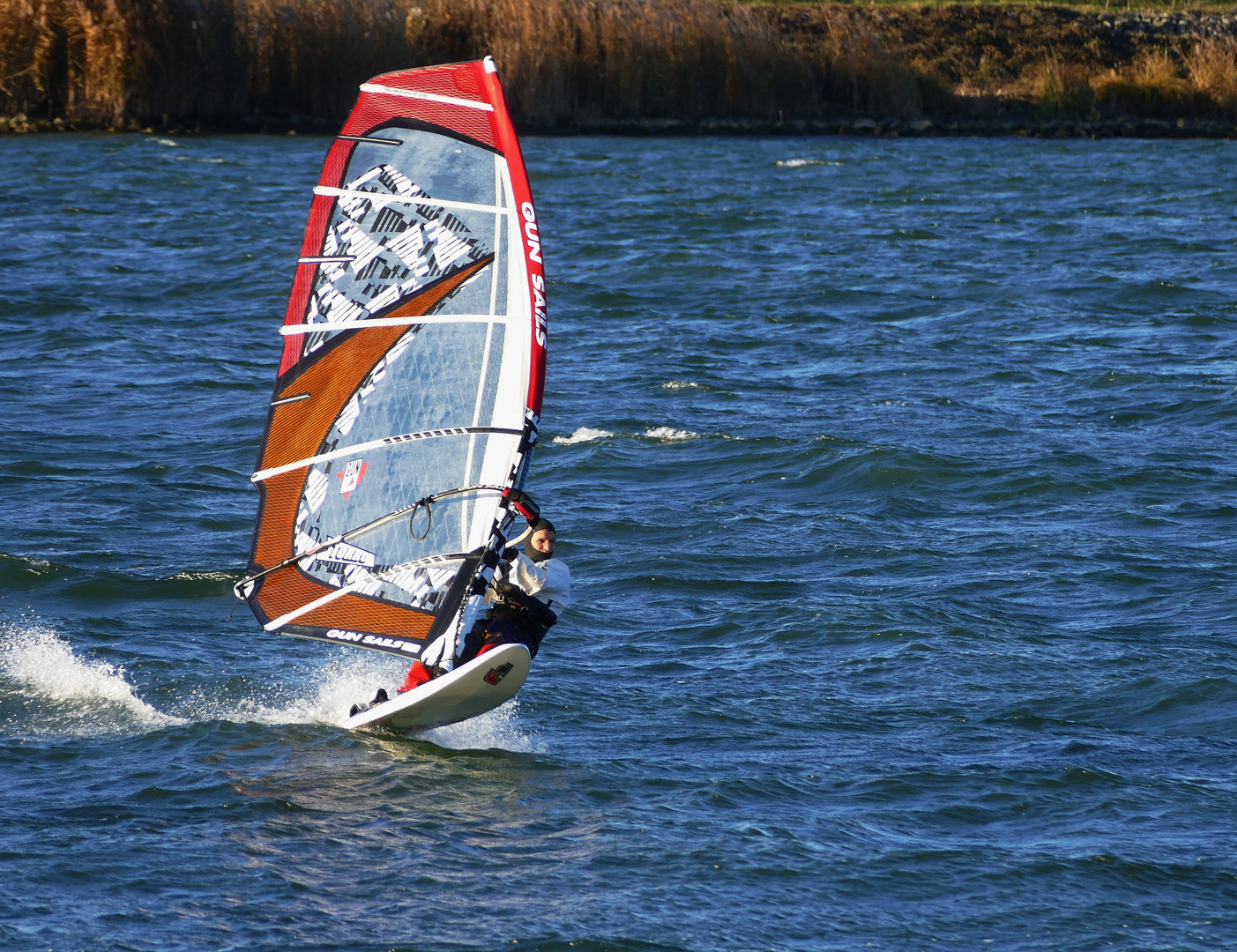 Windsurfer