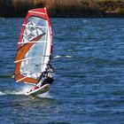 Windsurfer