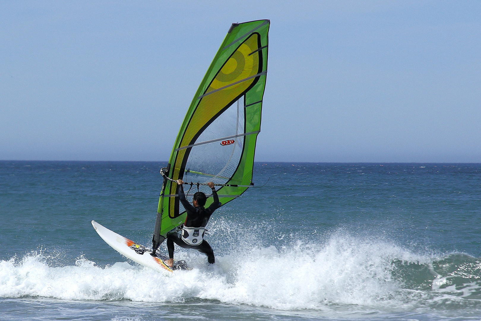 Windsurfer