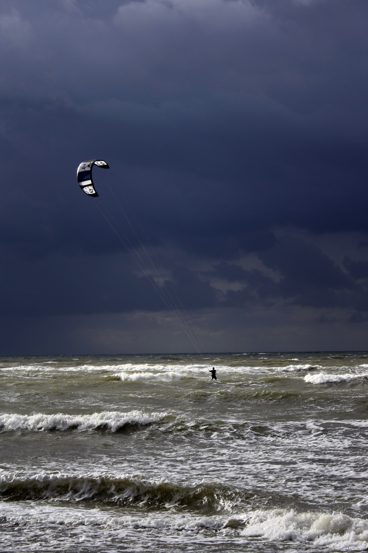 Windsurfer