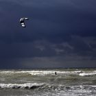 Windsurfer