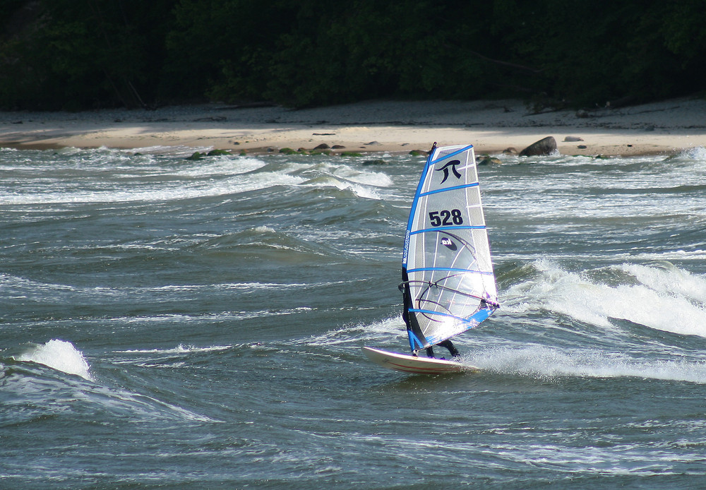 Windsurfer