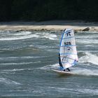 Windsurfer