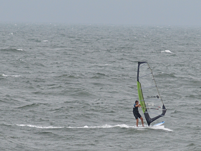 Windsurfer