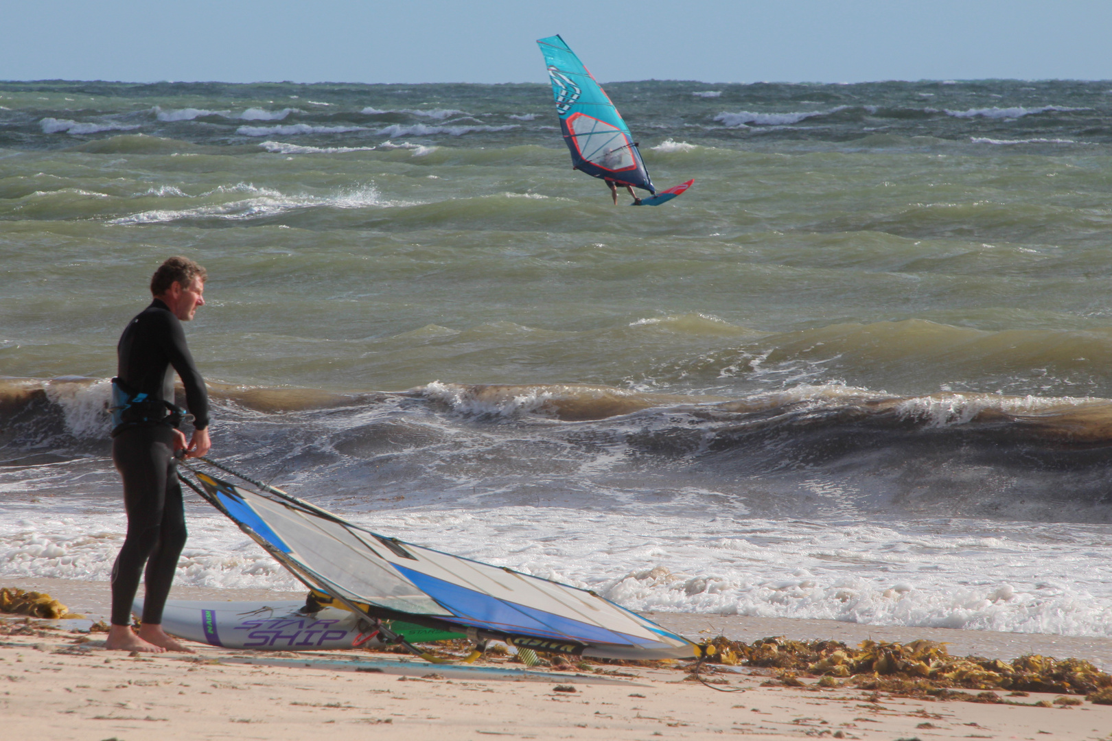 Windsurfer