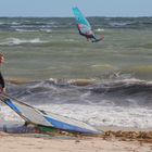 Windsurfer