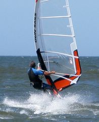 Windsurfer