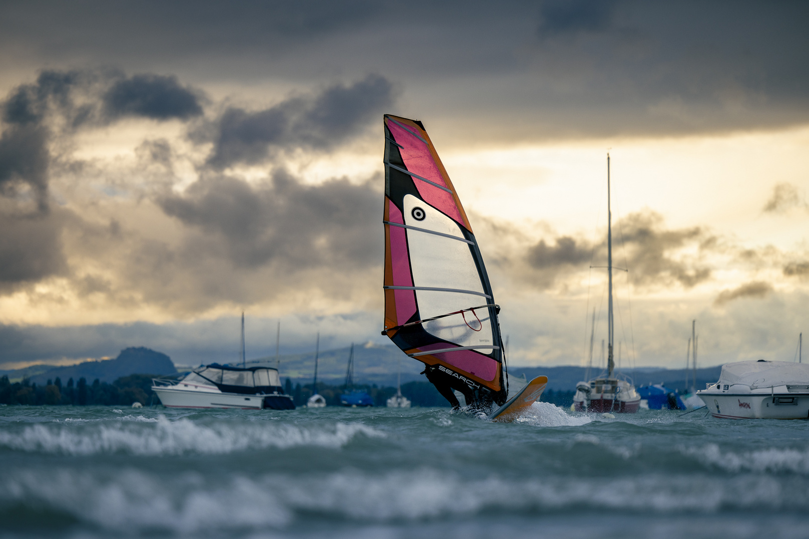 Windsurfer