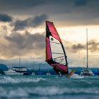 Windsurfer