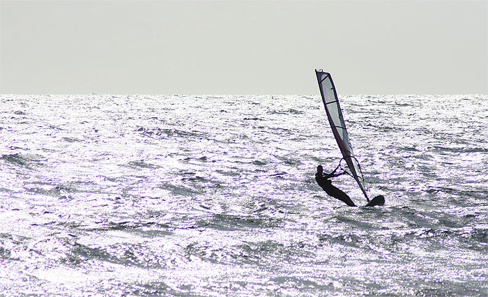 Windsurfer