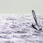 Windsurfer