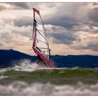 Windsurfer