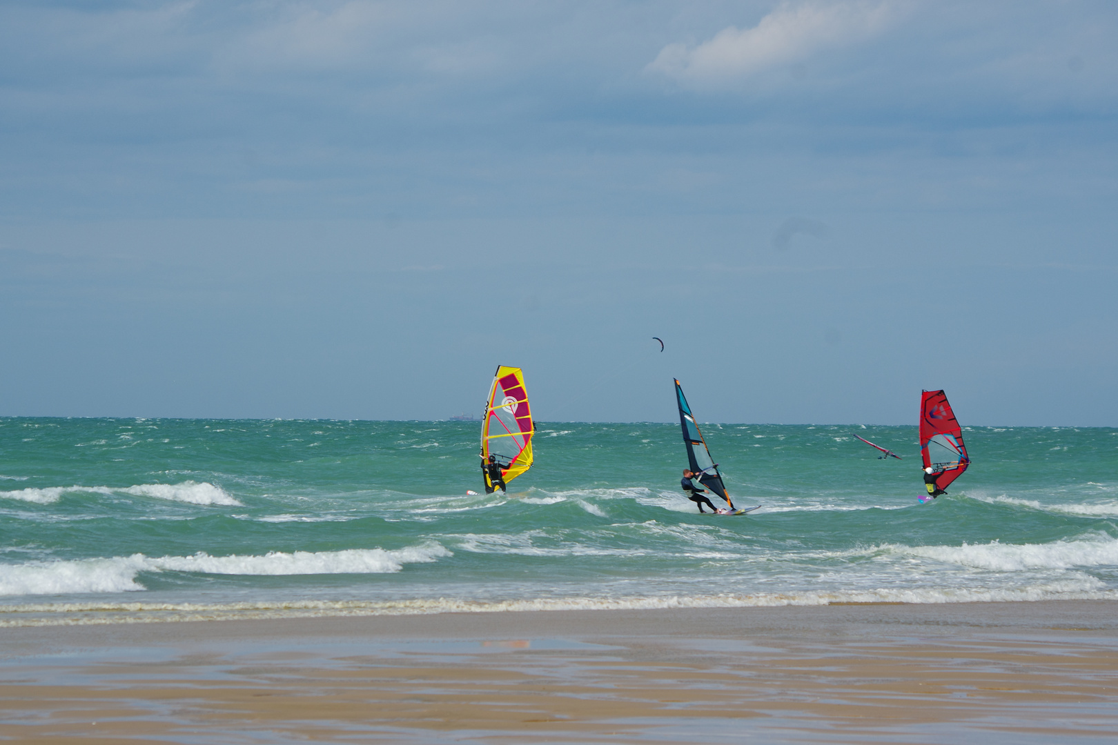 Windsurfer