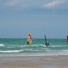 Windsurfer