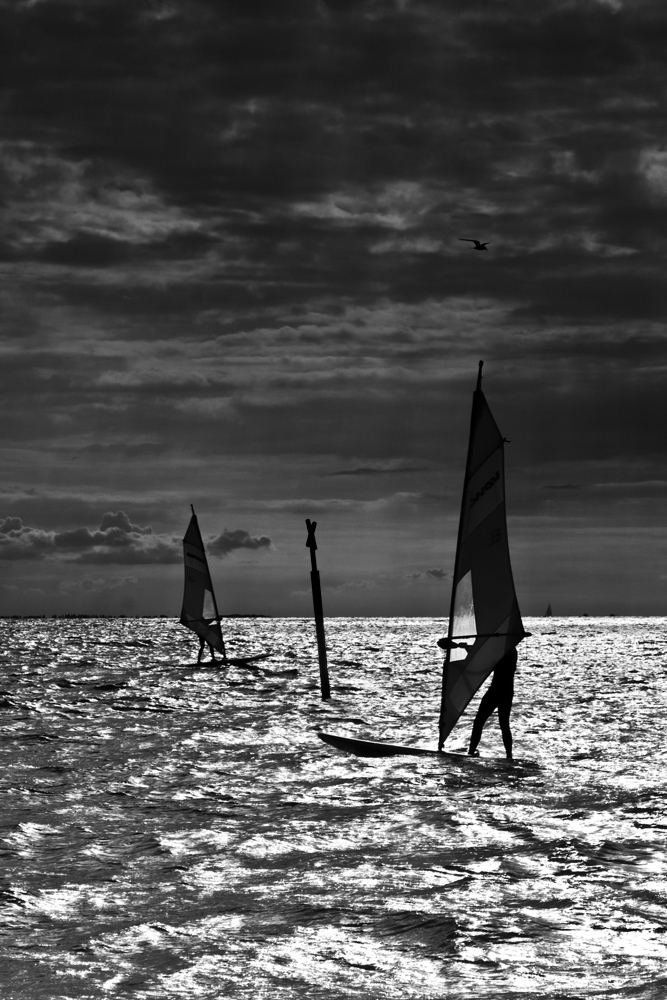 Windsurfer