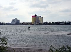 Windsurfer auf dem Rhein bei Nordheim