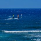 Windsurfer auf Maui