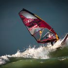 Windsurfer