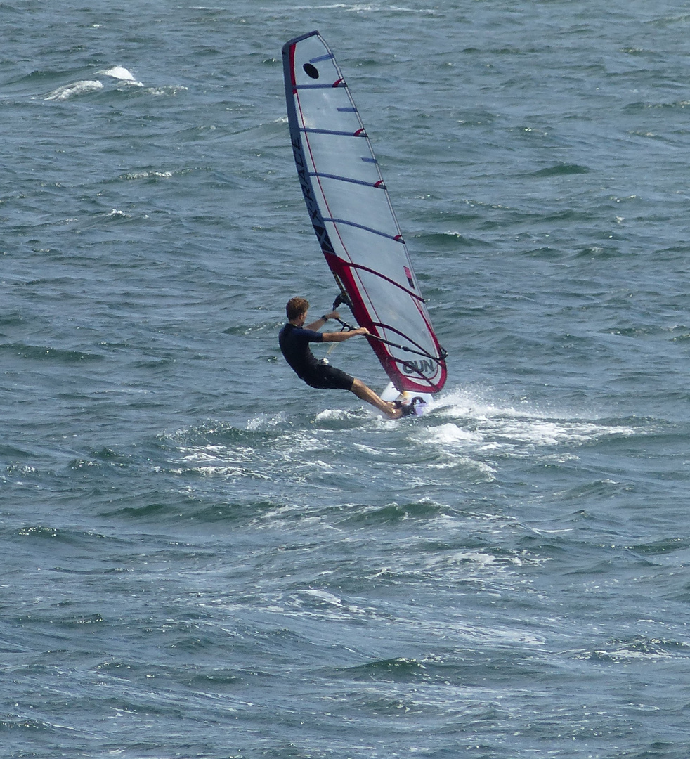 Windsurfer