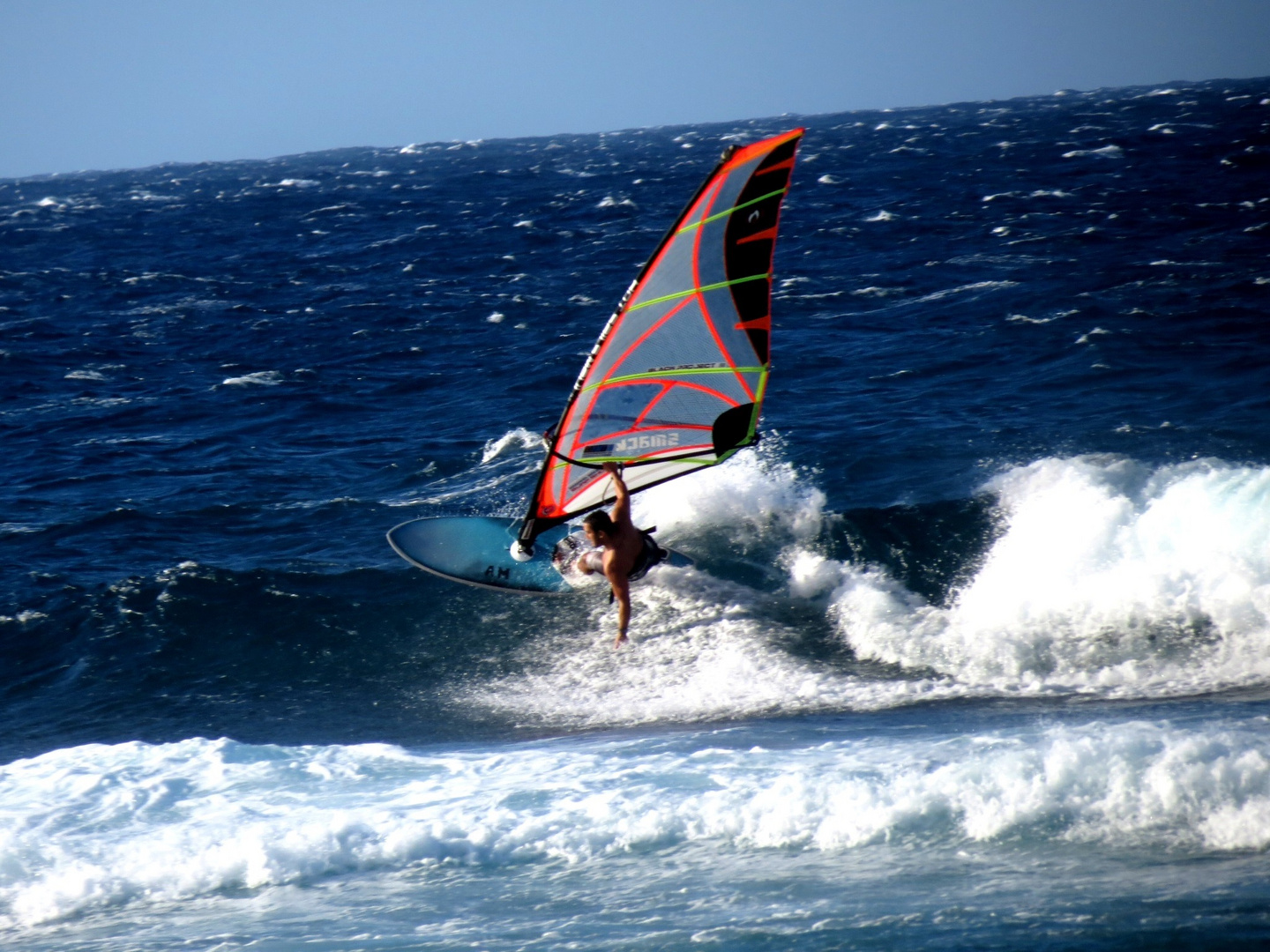 windsurfer