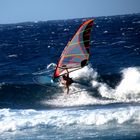 windsurfer