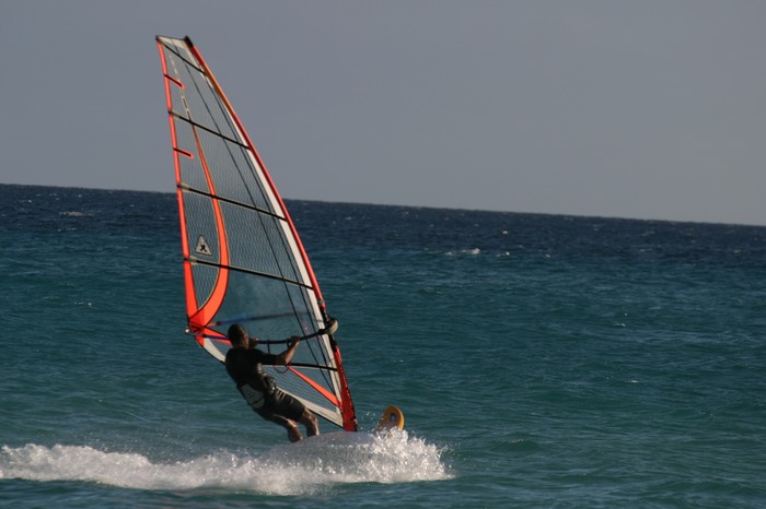 Windsurfer