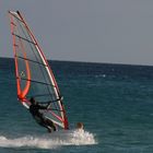 Windsurfer