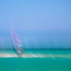 Windsurfer