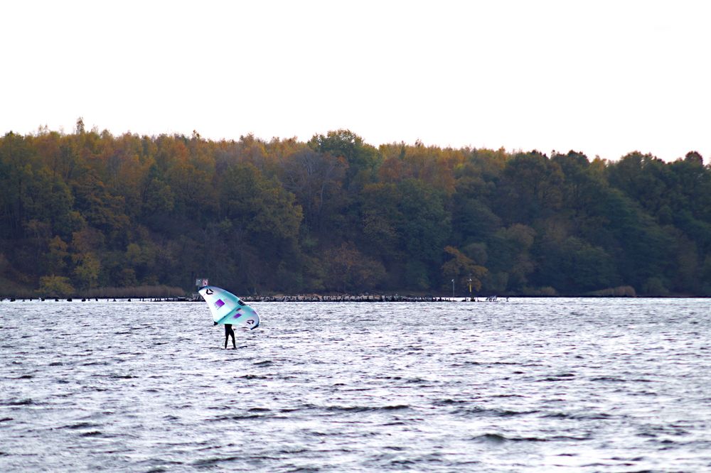 Windsurfer