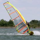 Windsurfer